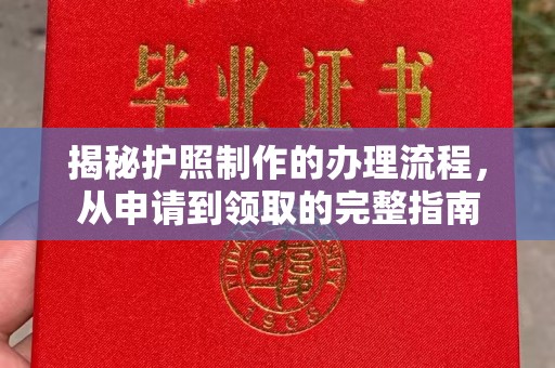 温县揭秘护照制作的办理流程，从申请到领取的完整指南