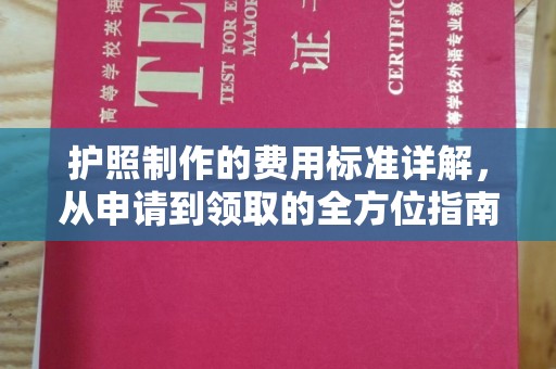 温县护照制作的费用标准详解，从申请到领取的全方位指南