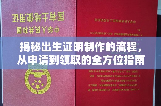 温县揭秘出生证明制作的流程，从申请到领取的全方位指南