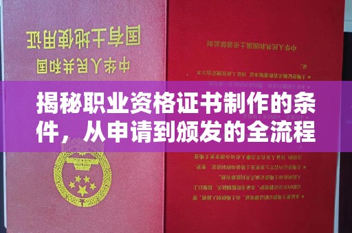 温县揭秘职业资格证书制作的条件，从申请到颁发的全流程解析